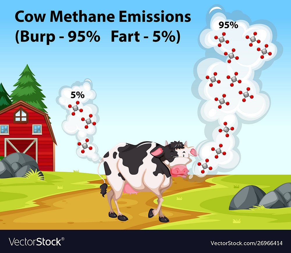 Science poster showing cow methane emissions